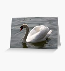 whiteness Greeting Card