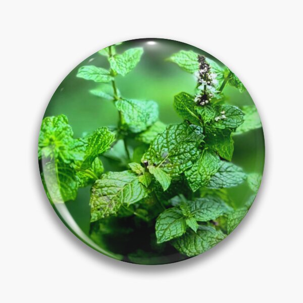 Item preview, Mint designed and sold by ontological.