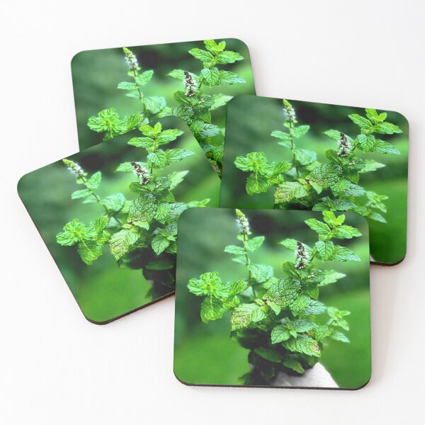 Item preview, Mint designed and sold by ontological.