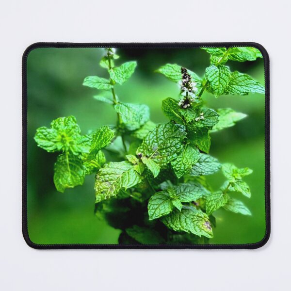 Item preview, Mint designed and sold by ontological.