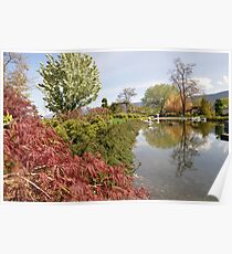Penticton Japanese Garden Poster