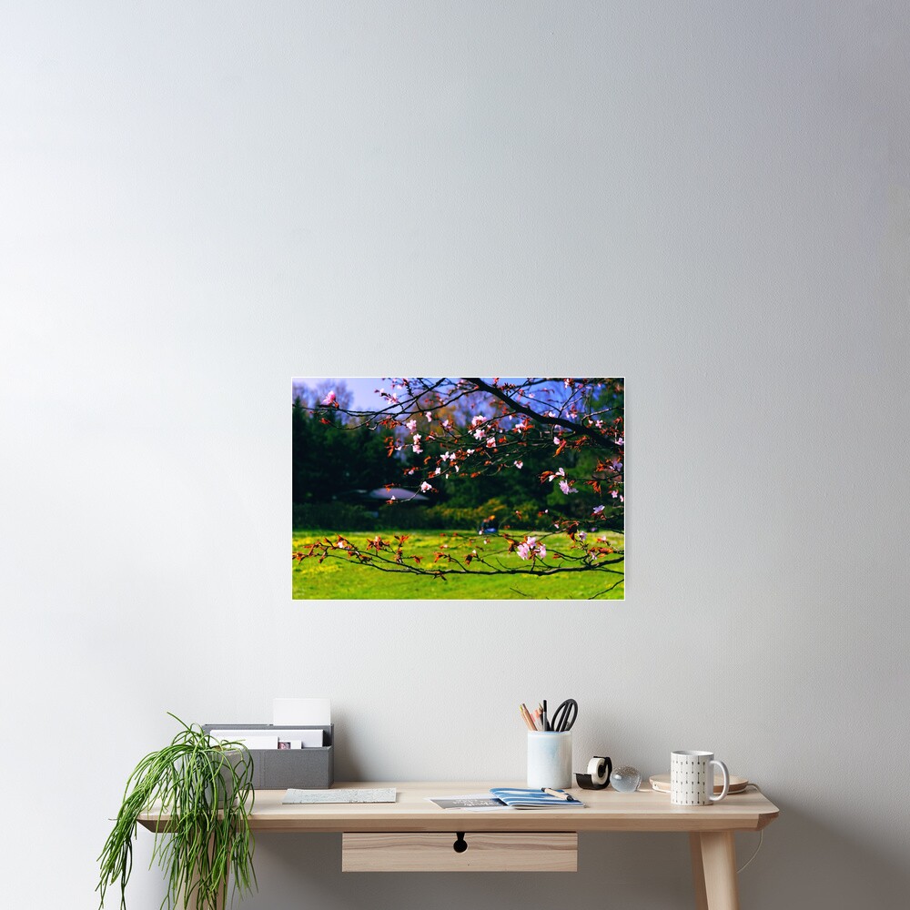 Item preview, Poster designed and sold by Mallorn.