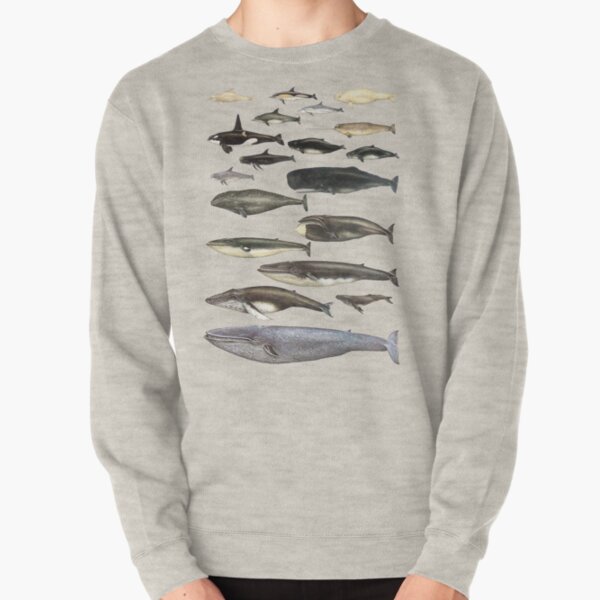 Whale Chart Pullover Sweatshirt