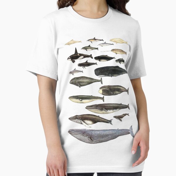 Item preview, Whale Chart designed and sold by JTNC.