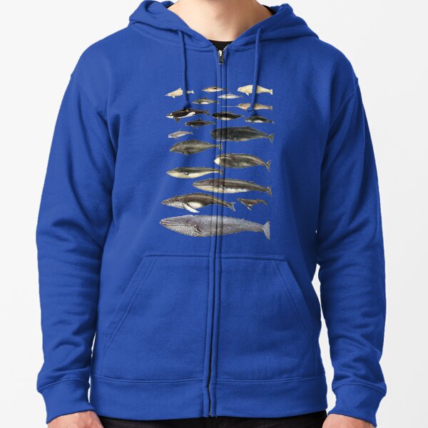 Item preview, Whale Chart designed and sold by JTNC.