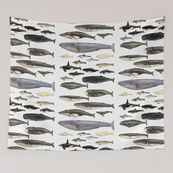 Item preview, Whale Chart designed and sold by JTNC.