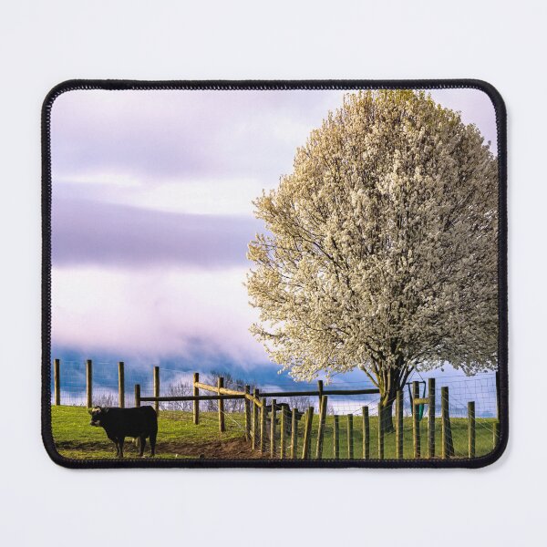 Item preview, Solitary Cow Solitary Tree designed and sold by Jim Love.