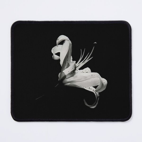 Item preview, Robert Mapplethorpe w Robert Mapplethorpe w Robert Mapplethorpe designed and sold by Goobardi.