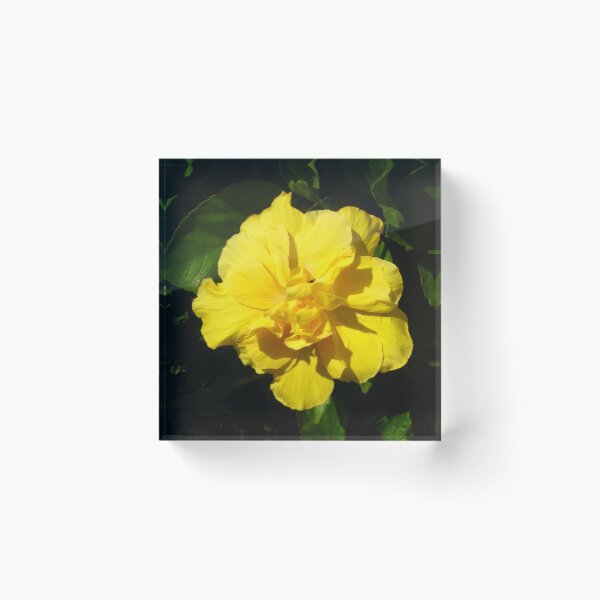Item preview, Double Yellow Hibiscus designed and sold by JoyousArt4u.