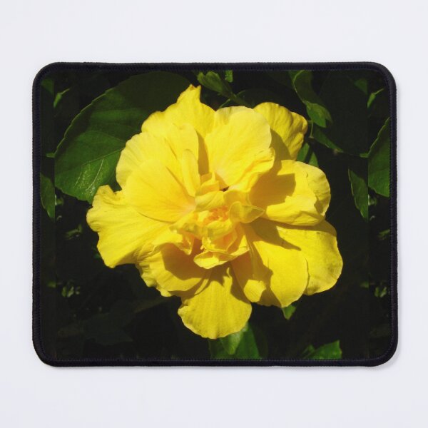 Item preview, Double Yellow Hibiscus designed and sold by JoyousArt4u.