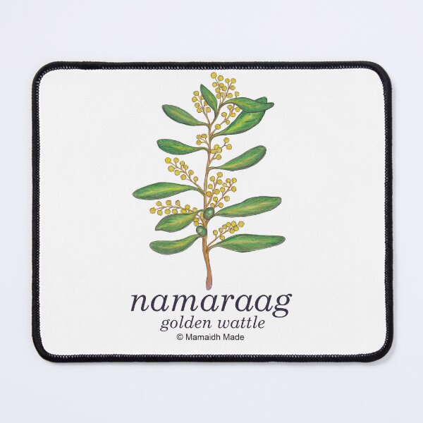 Item preview, Vintage inspired hand painted botanical painting of golden wattle - with Aboriginal translation - Namaraag is the word used by Sydney’s Dharawal people for Sydney golden wattle designed and sold by Mamaidh Made.