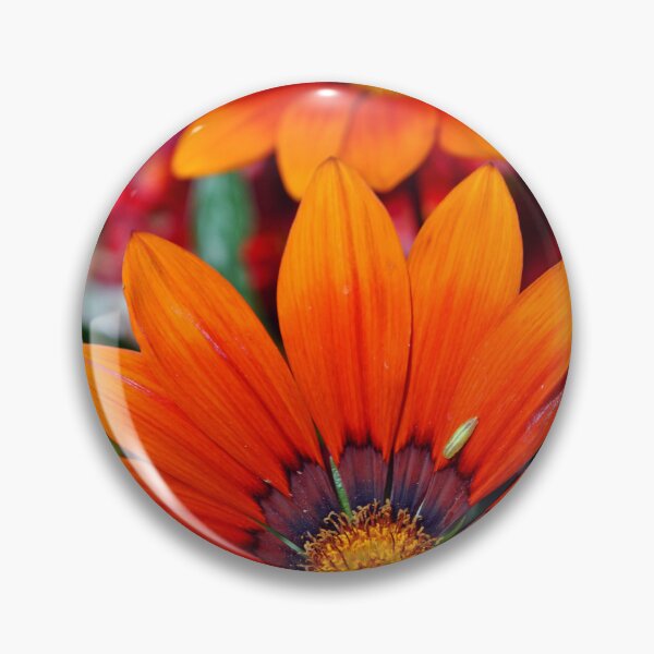 Item preview, Orange Gazania African Daisies Summer Flower designed and sold by AndyEvansPhotos.