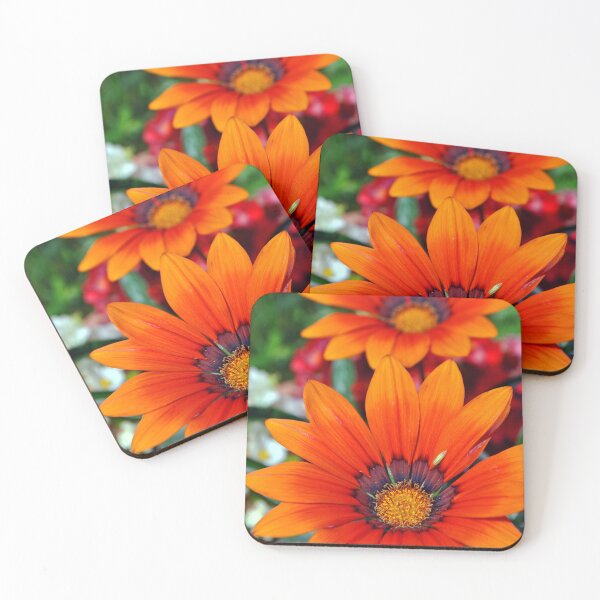 Item preview, Orange Gazania African Daisies Summer Flower designed and sold by AndyEvansPhotos.