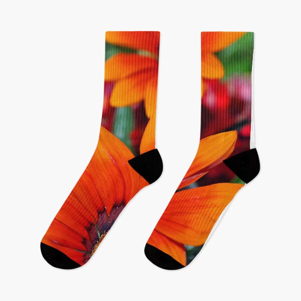 Item preview, Orange Gazania African Daisies Summer Flower designed and sold by AndyEvansPhotos.