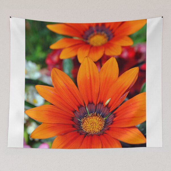 Item preview, Orange Gazania African Daisies Summer Flower designed and sold by AndyEvansPhotos.