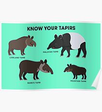 Know Your Tapirs Poster