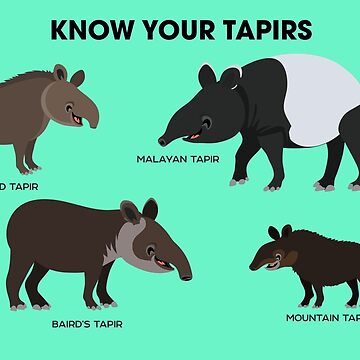 Artwork thumbnail, Know Your Tapirs by Peppermint Narwhal
