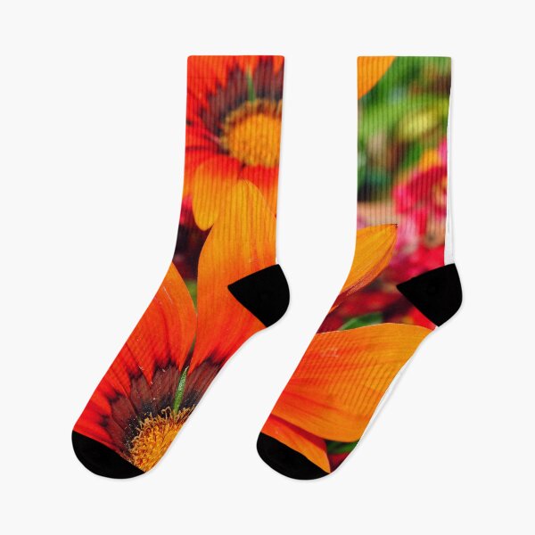 Item preview, Orange Gazania African Daisies Summer Flower designed and sold by AndyEvansPhotos.