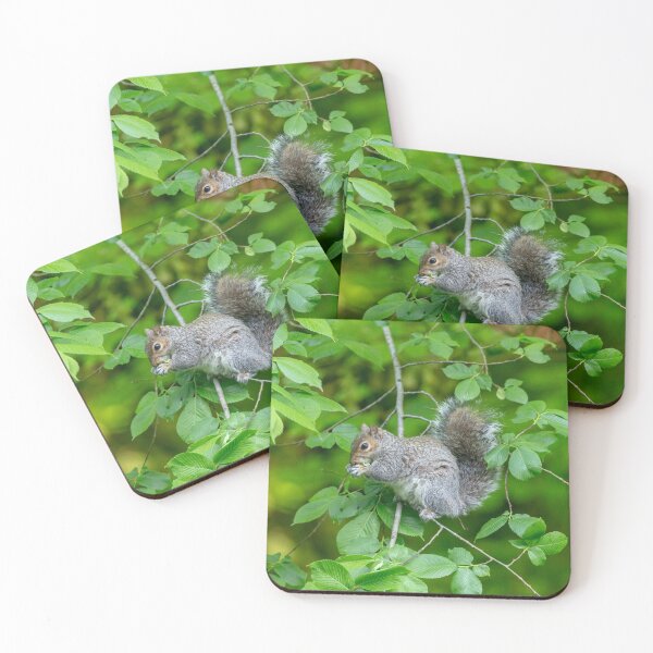 Item preview, Cute Grey Squirrel designed and sold by Dalyndigital Photography.