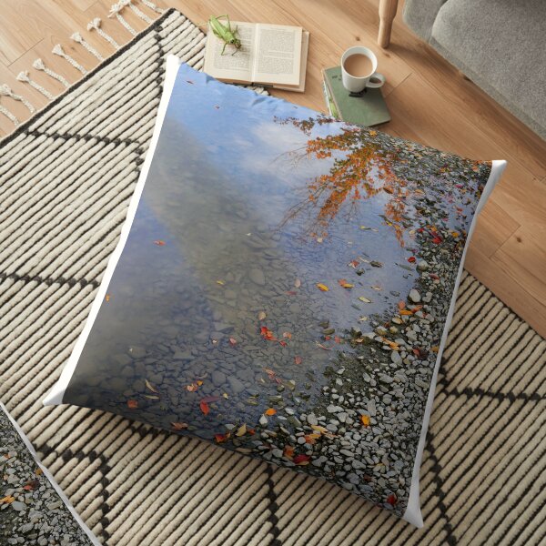 Caméo Coussin de sol