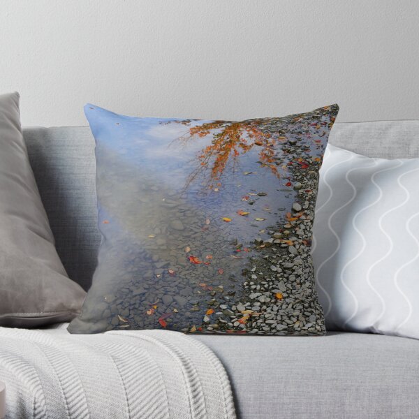Caméo Coussin