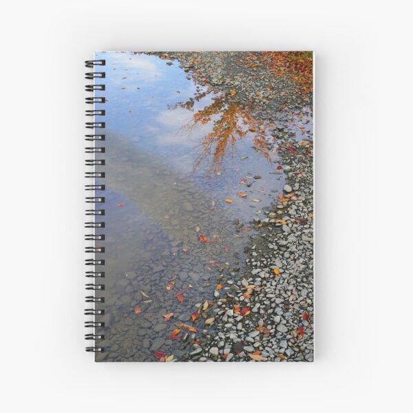 Caméo Cahier à spirale