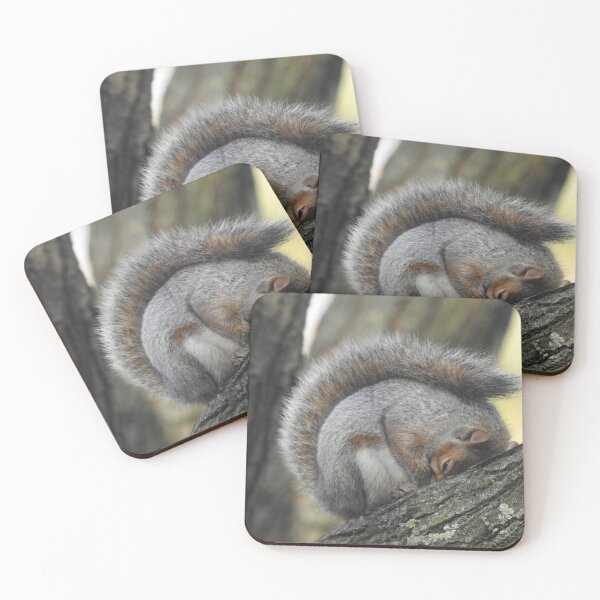 Item preview, SLEEPY SQUIRREL designed and sold by NatureWatch10.