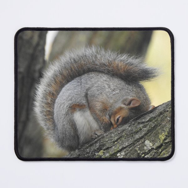 Item preview, SLEEPY SQUIRREL designed and sold by NatureWatch10.