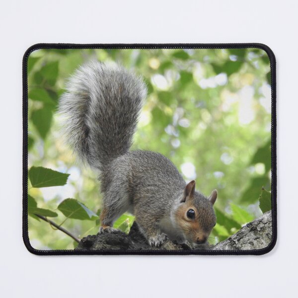 Item preview, FULL OF THE JOYS OF SPRING designed and sold by NatureWatch10.