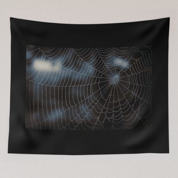 Item preview, Spider Web Against Dark Background designed and sold by Taina Sohlman.