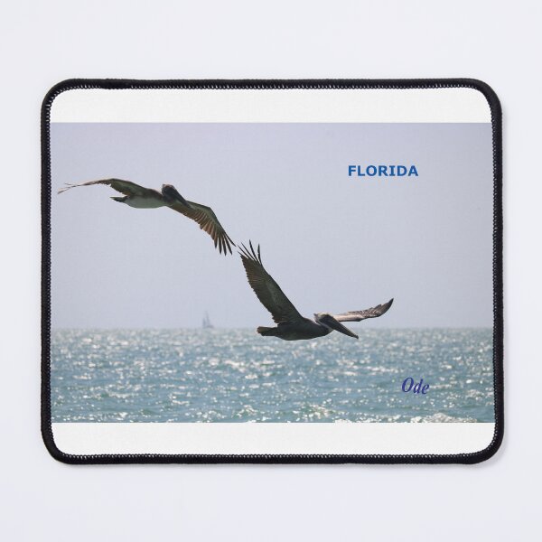 Item preview, Florida designed and sold by Odepeintre.