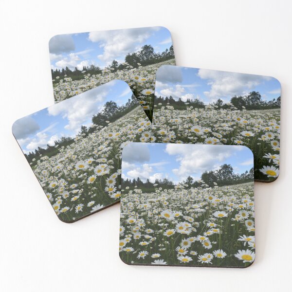 Item preview, A field of daisies in bloom designed and sold by Claude Laprise.
