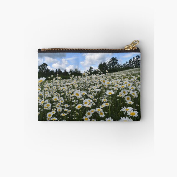 Item preview, A field of daisies in bloom designed and sold by Claude Laprise.