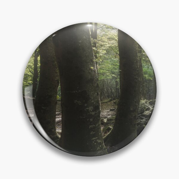 Item preview, Three trees in the forest, Italian Apennines designed and sold by Stefano Orazzini.