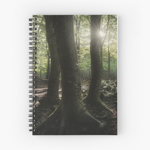 Item preview, Three trees in the forest, Italian Apennines designed and sold by Stefano Orazzini.