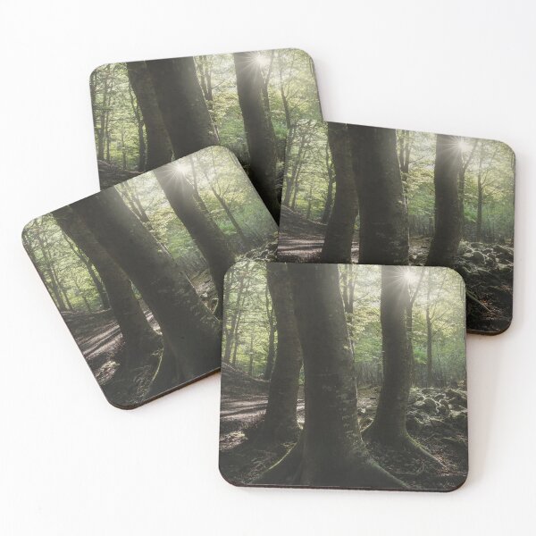Item preview, Three trees in the forest, Italian Apennines designed and sold by Stefano Orazzini.