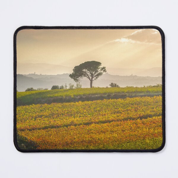 Item preview, Stone pine and vineyards of Chianti designed and sold by Stefano Orazzini.