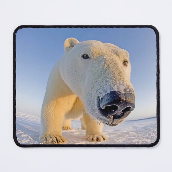 Item preview, Polar Bear designed and sold by MorningFive.