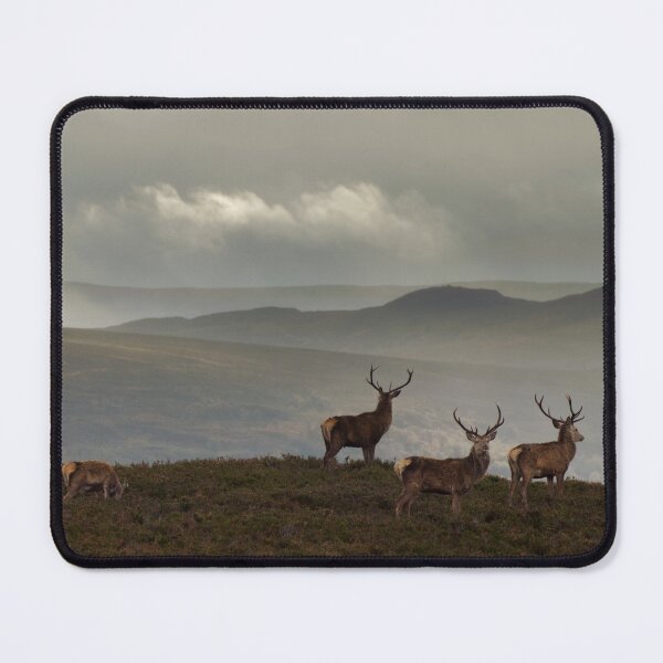 Item preview, Watching Over the Highlands designed and sold by Macrae images.