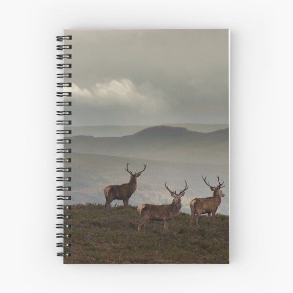 Item preview, Watching Over the Highlands designed and sold by Macrae images.