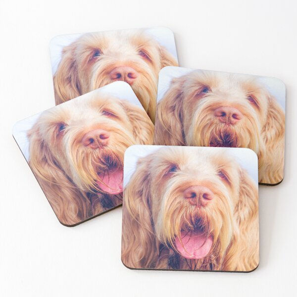 Item preview, Wavy ears Spinone by heidiannemorris © designed and sold by FOLK ART FUSION by heidiannemorris.