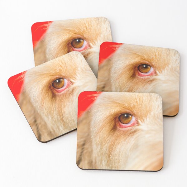 Item preview, Eye Spy Spinone designed and sold by FOLK ART FUSION by heidiannemorris.