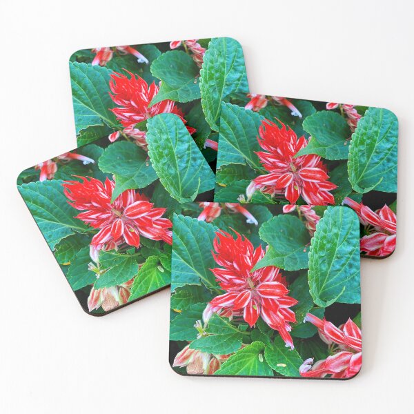 Item preview, Scarlet Sage designed and sold by Global Nomad.