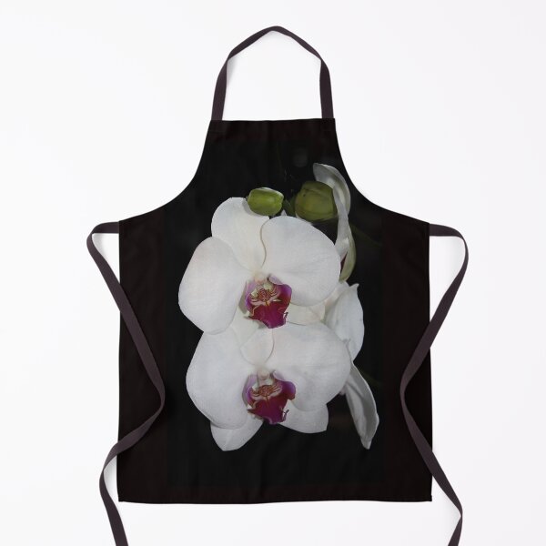 Item preview, Phalaenopsis White Orchid designed and sold by Bernai Velarde.