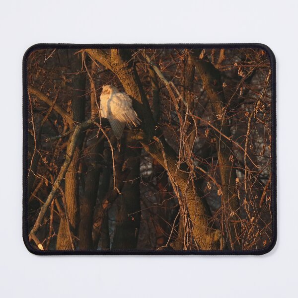 Item preview, Leucistic great horned owl designed and sold by locustgirl.