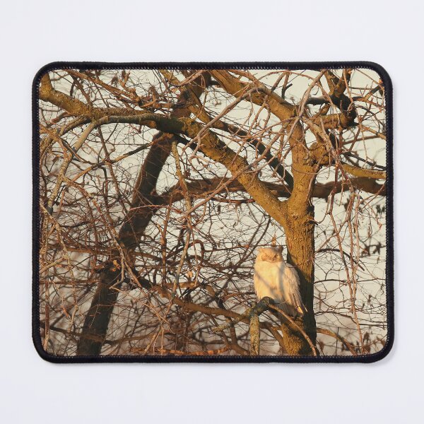 Item preview, leucistic owl designed and sold by locustgirl.