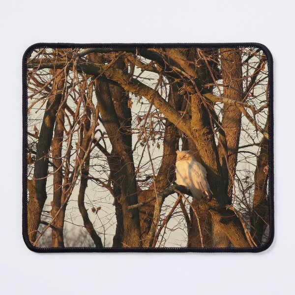 Item preview, leucistic great horned owl designed and sold by locustgirl.