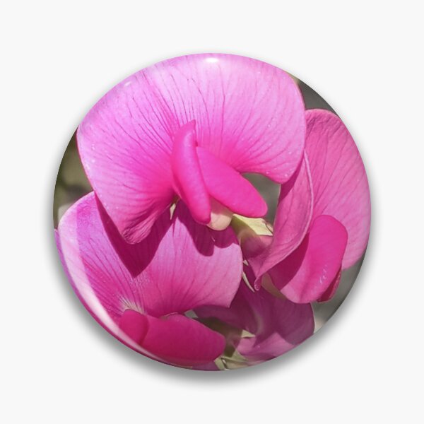 Item preview, Immaculate Sun and Impressive Illumination designed and sold by SCTBUFFALOPHOTO.