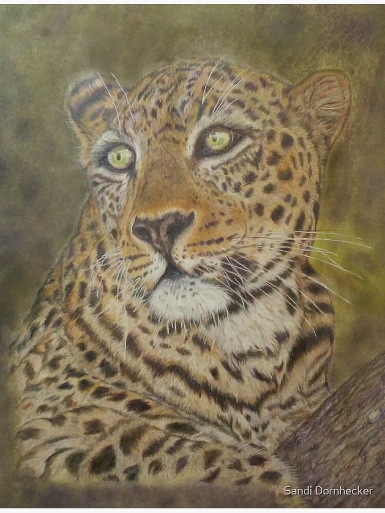 Amur Leopard - A Mother's Gaze by SandiDornhecker