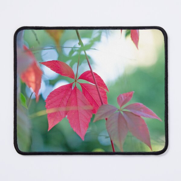 Item preview, Red Leaves designed and sold by Kenziewenze.